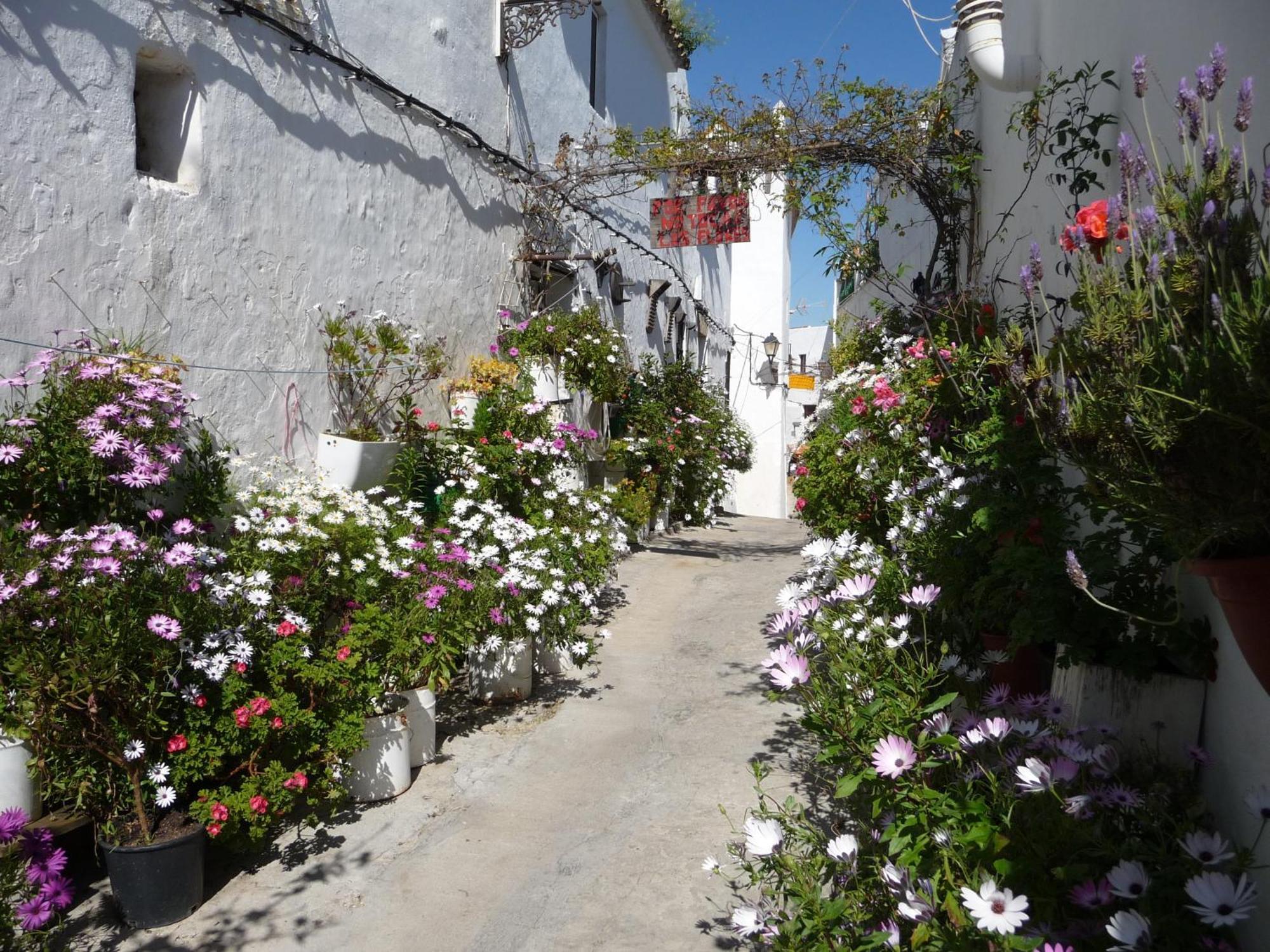 Vivienda de Alojamiento Rural Casa Naty Vejer de la Frontera Exterior foto